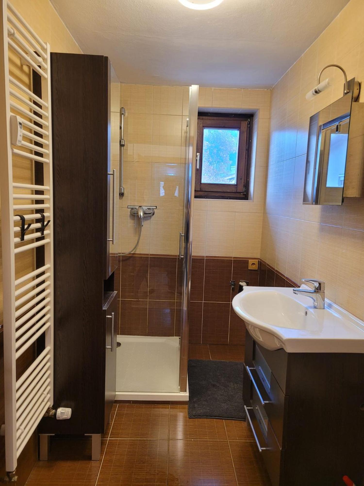 Otilia Apartment Zell am See Exterior photo